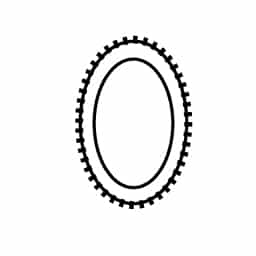 Area Rug oval